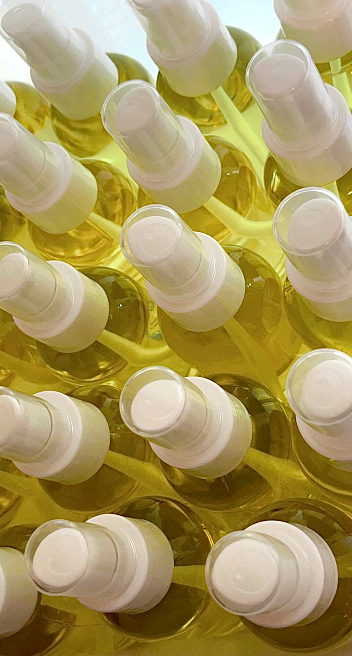 Wholesale Body Oils (4.0 oz)